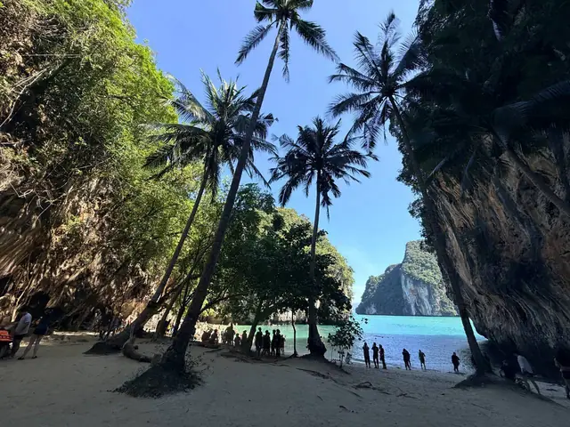 Palm trees on the beach between the cliffs, Hong Islands