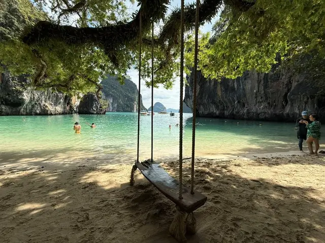 Beach swing under a tree