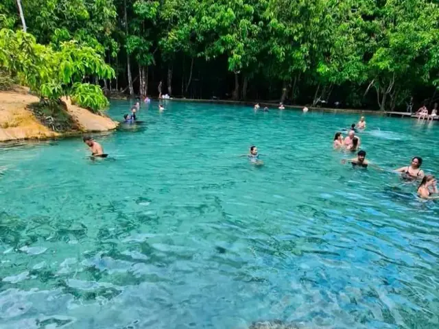 Emerald green water at the Emerald Pool, Krabi